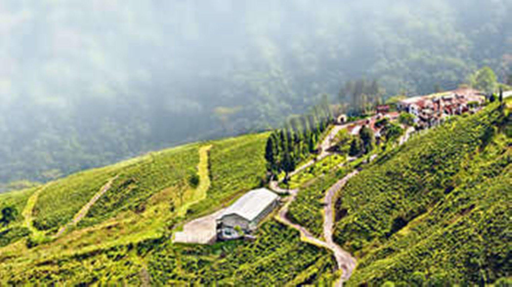Central Nirvana Darjeeling  Luaran gambar